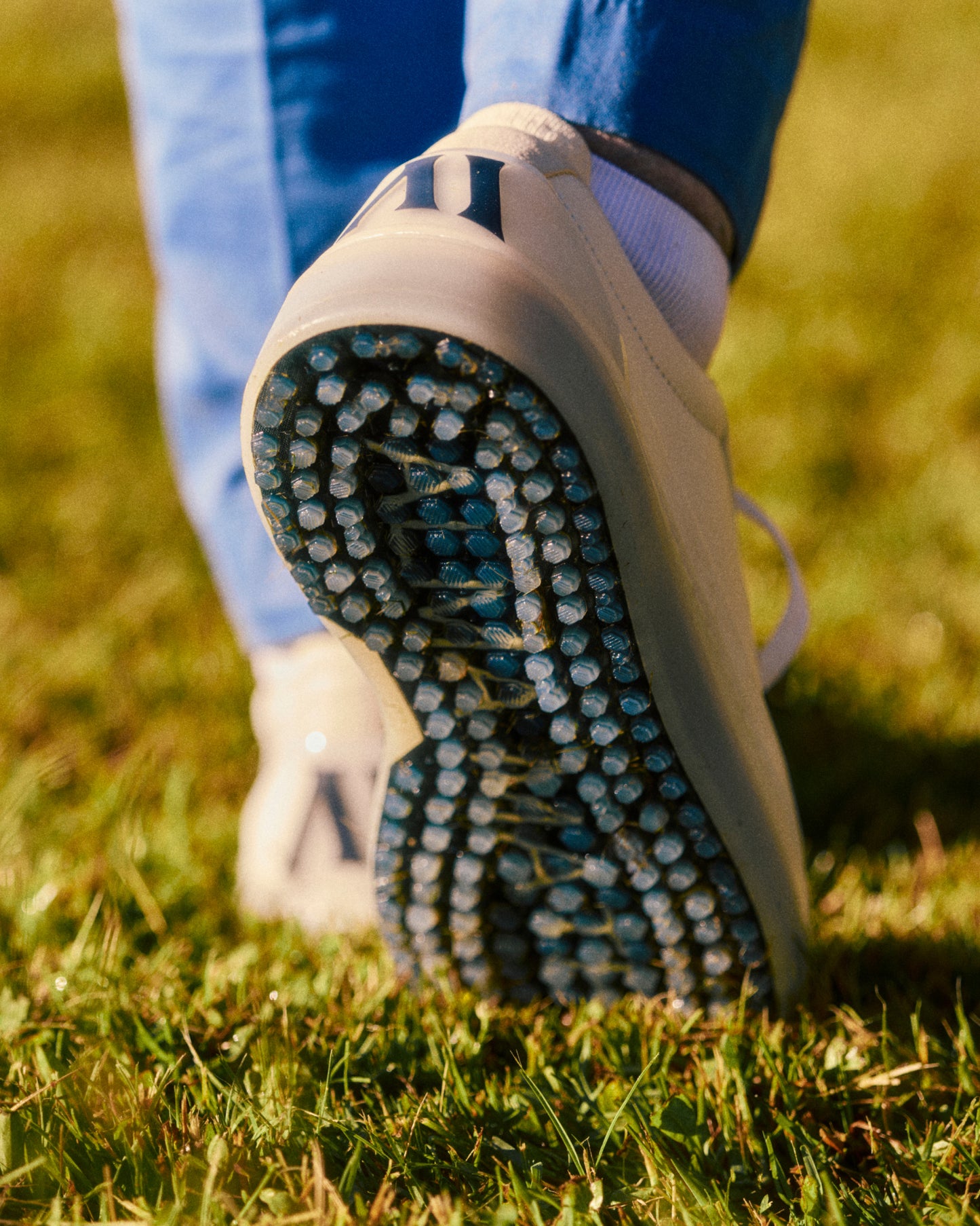 M Beta Derby - White / Navy