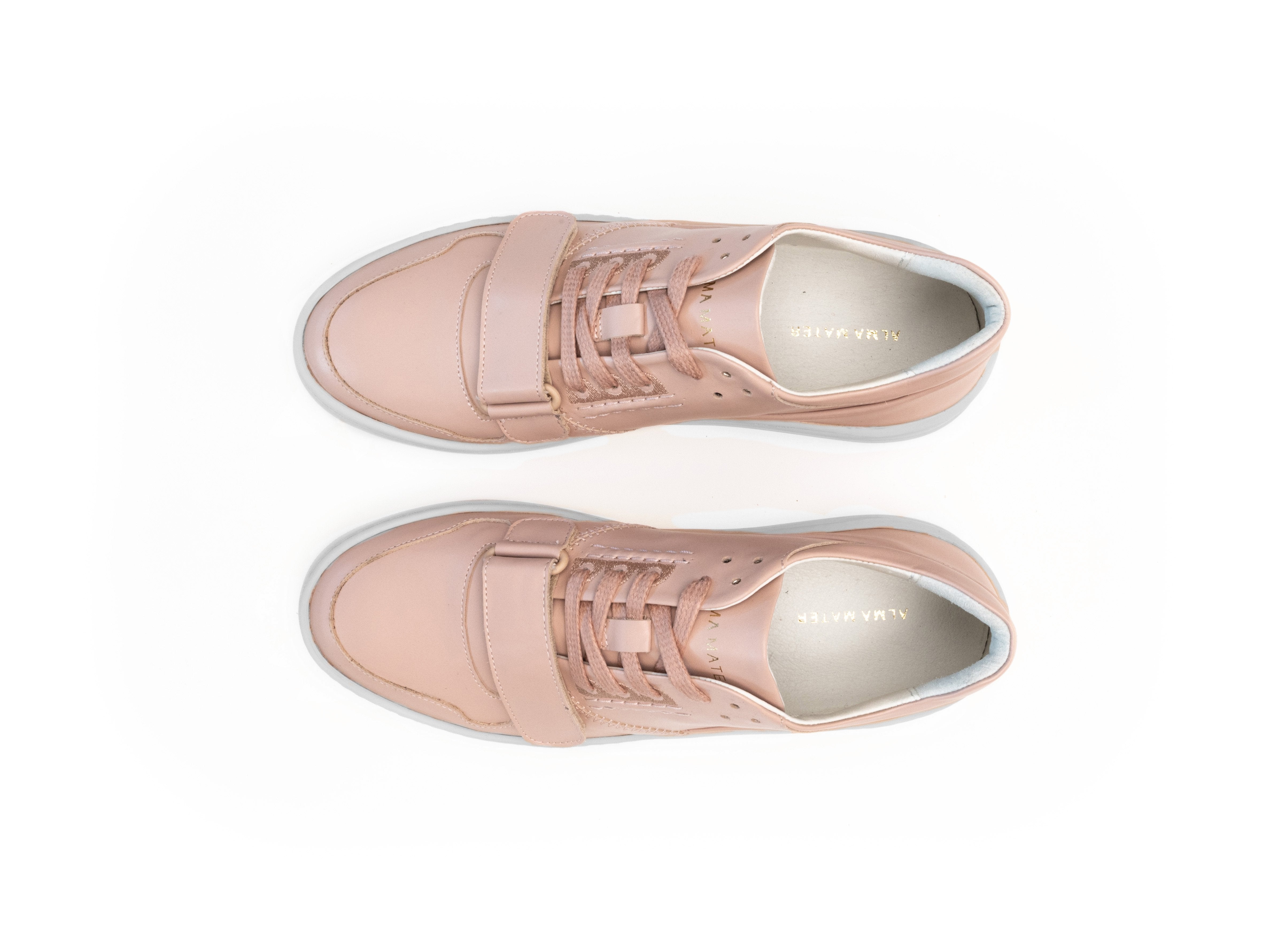 GAMMA 13 - Blush